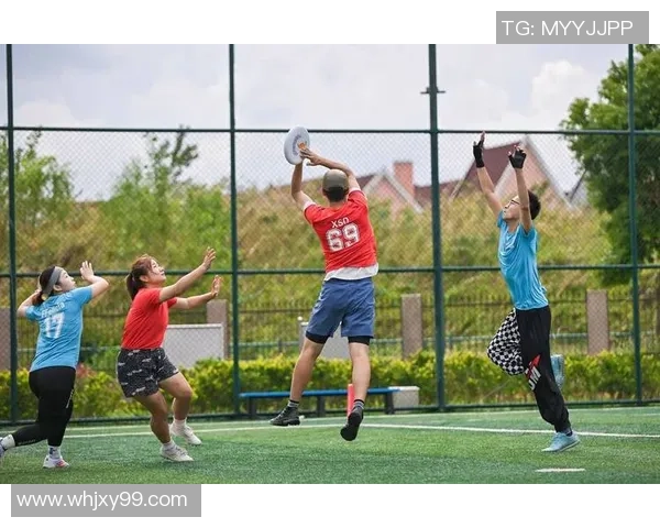 武汉飞盘队的节奏探索与发展之路：激情与团队的完美结合